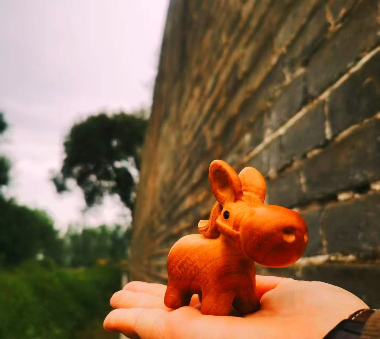Little Wooden Donkey