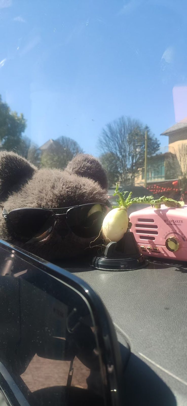 Road-Trip Co-pilot